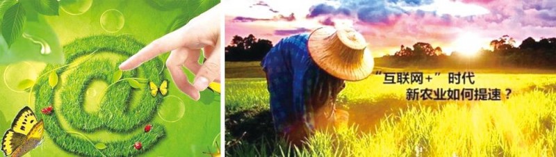 加快“物聯(lián)網(wǎng)+農(nóng)業(yè)”落地意義深遠(yuǎn)