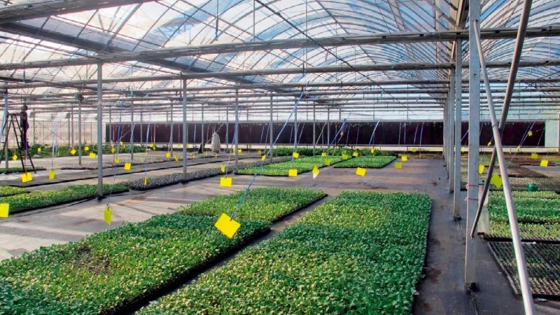 我國(guó)農(nóng)業(yè)生產(chǎn)在物聯(lián)網(wǎng)應(yīng)用方面存在的難題及解決措施