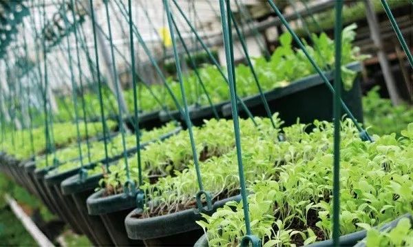 我國(guó)農(nóng)業(yè)生產(chǎn)在物聯(lián)網(wǎng)應(yīng)用方面存在的難題及解決措施