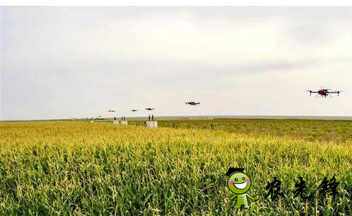 數(shù)據(jù)對(duì)于農(nóng)業(yè)存在什么影響