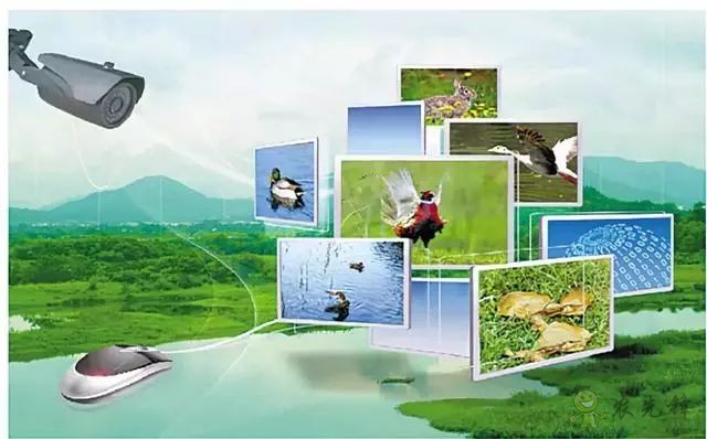 為農(nóng)業(yè)插上翅膀，物聯(lián)網(wǎng)引領(lǐng)下一個(gè)農(nóng)業(yè)時(shí)代！