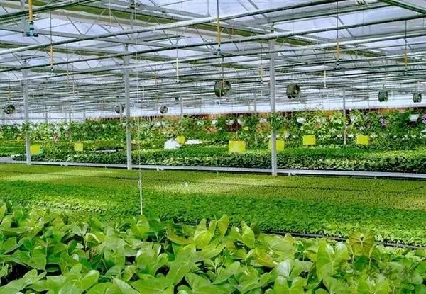 為農(nóng)業(yè)插上翅膀，物聯(lián)網(wǎng)引領(lǐng)下一個(gè)農(nóng)業(yè)時(shí)代！