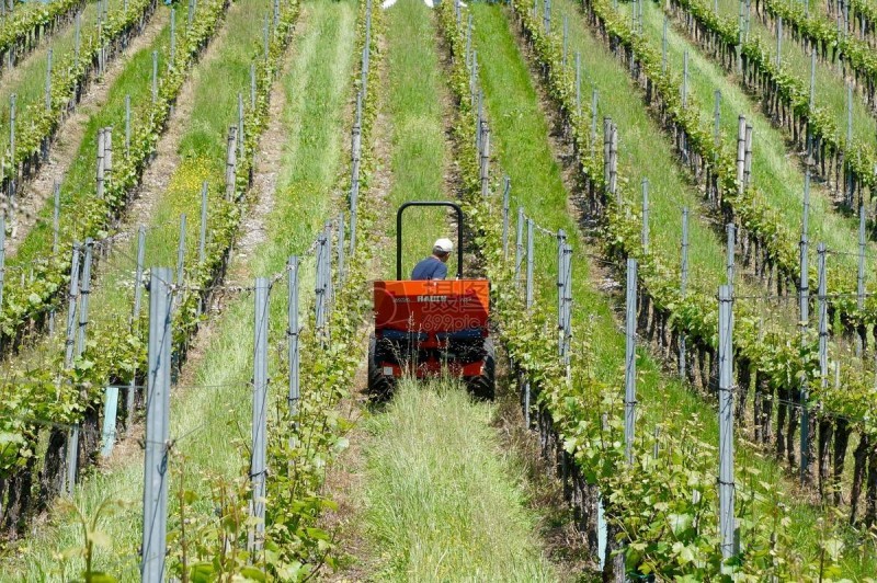 智慧農(nóng)業(yè)前景好，可為啥農(nóng)民用得少？