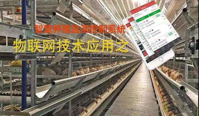 物聯(lián)網在智慧養(yǎng)殖監(jiān)控系統(tǒng)應用