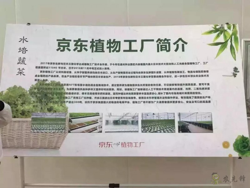 京東的這些&ldquo;網(wǎng)紅&rdquo;農(nóng)業(yè)項目，你都知道嗎？