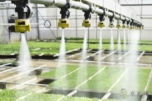 智慧農(nóng)業(yè)的發(fā)展，農(nóng)民能否被淘汰