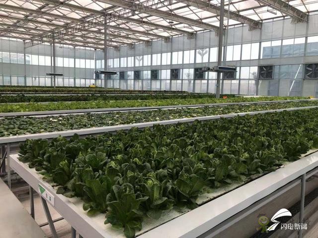 智慧農(nóng)業(yè)新探索&mdash;&mdash;&ldquo;投資商+運(yùn)營商+家庭農(nóng)場&rdquo;模式