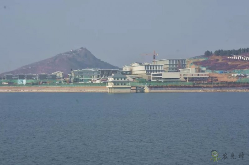 鄧興旺：我為何回國辦現(xiàn)代農學？