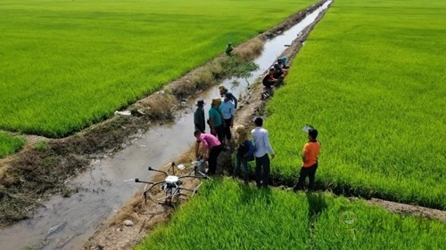 林重意:越南農(nóng)業(yè)植保飛防服務(wù)