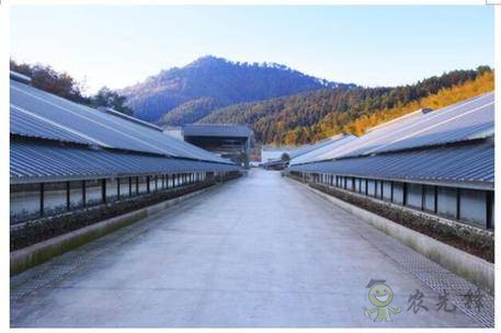 網(wǎng)易味央（三門）現(xiàn)代農(nóng)業(yè)示范園正式開工！