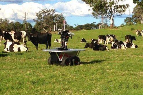 現(xiàn)場(chǎng)機(jī)器人，&ldquo;上的了天 下的了地&rdquo;