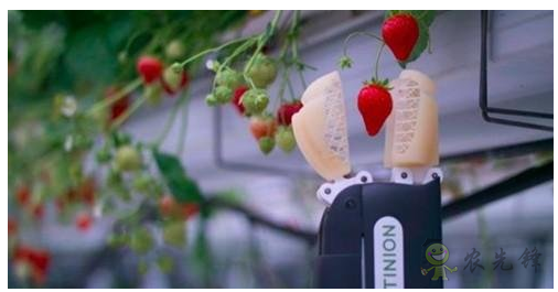 農(nóng)業(yè)機(jī)器人崛起會(huì)對農(nóng)民帶來負(fù)面影響嗎