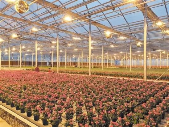 楊凌:現(xiàn)代科技給農(nóng)業(yè)裝上“智慧芯”