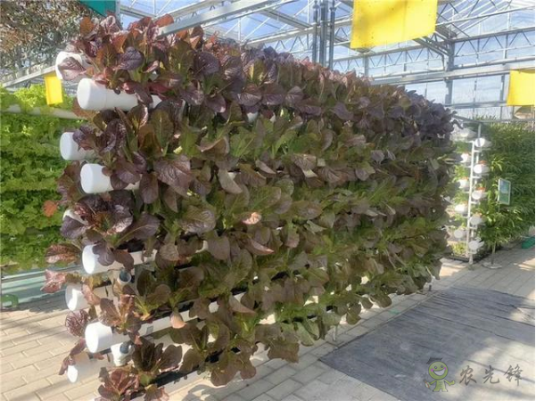 河北省將示范推廣100個農(nóng)業(yè)物聯(lián)網(wǎng)應(yīng)用試點