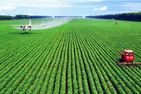 農(nóng)業(yè)物聯(lián)網(wǎng)在藍莓種植的領域的第一步