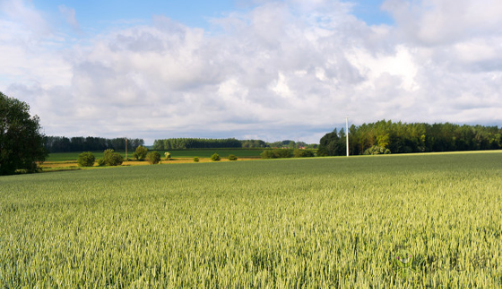 智慧農(nóng)業(yè)駛上“快車道”還有哪些問題要解決
