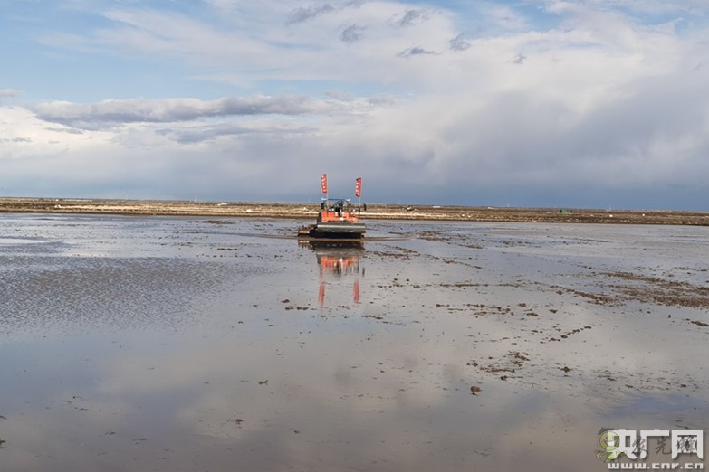 全國(guó)政協(xié)委員楊國(guó)強(qiáng)：發(fā)展現(xiàn)代農(nóng)業(yè) 打造規(guī)?；療o(wú)人農(nóng)場(chǎng)