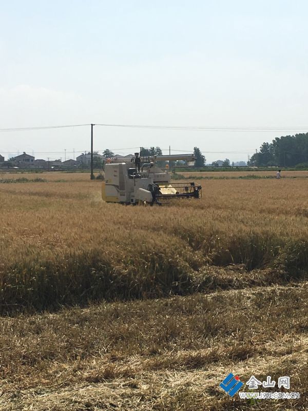 &ldquo;智慧農(nóng)機(jī)&rdquo;助力夏收夏種的交響曲