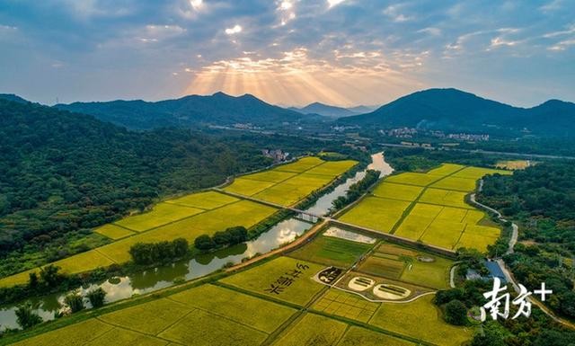 11個現(xiàn)代農(nóng)業(yè)項(xiàng)目在廣州從化動工