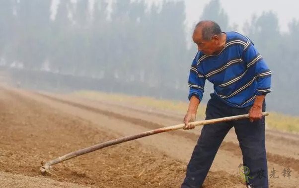 陳錫文:發(fā)展現(xiàn)代農(nóng)業(yè),意味著要消滅小農(nóng)戶嗎?