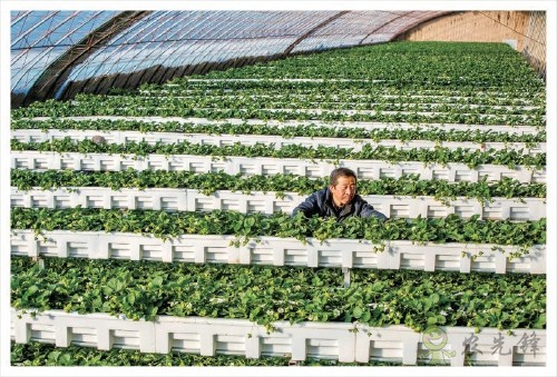 西省晉中市太谷縣國(guó)家現(xiàn)代農(nóng)業(yè)產(chǎn)業(yè)園