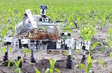 未來農(nóng)機:會學(xué)習(xí)的農(nóng)田作業(yè)機器人