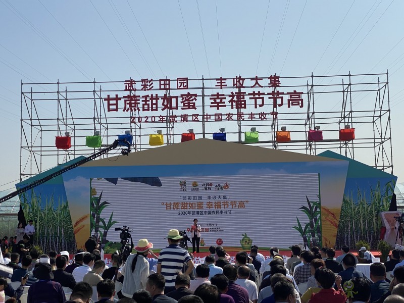 天津武清:都市型現(xiàn)代農(nóng)業(yè)展現(xiàn)豐收新圖景