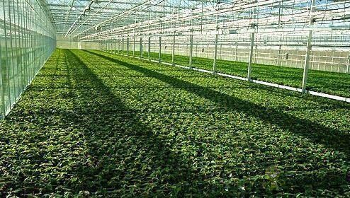 什么是以物聯(lián)網(wǎng)為架構(gòu)的智慧農(nóng)業(yè)系統(tǒng)？