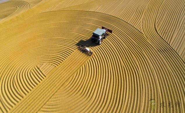 美國(guó)農(nóng)業(yè)