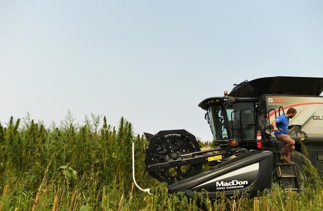 美國(guó)農(nóng)業(yè)