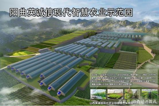 陽曲縣精品農(nóng)業(yè)是如何打造的？
