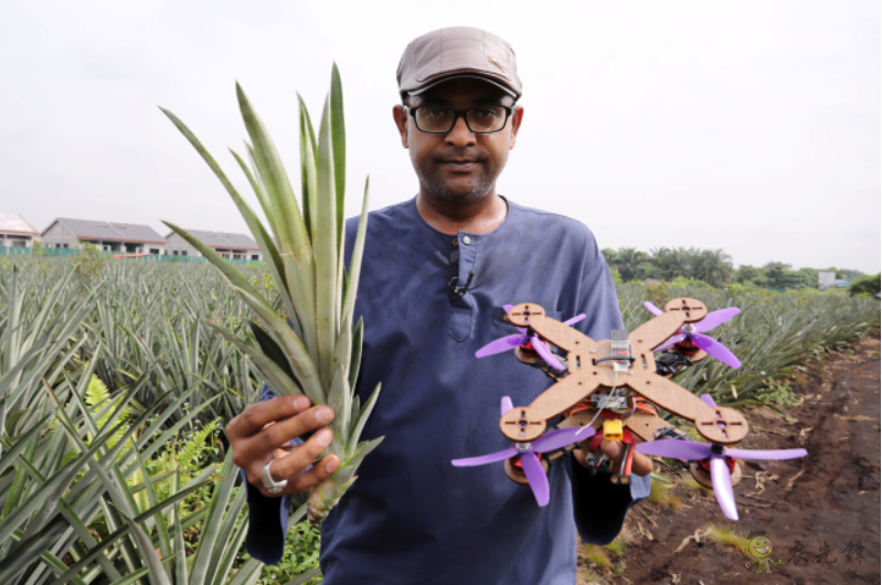 菠蘿葉中的纖維也可以成為無人機(jī)材料?