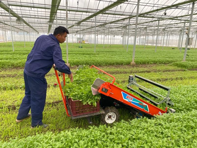 現(xiàn)代農(nóng)業(yè)