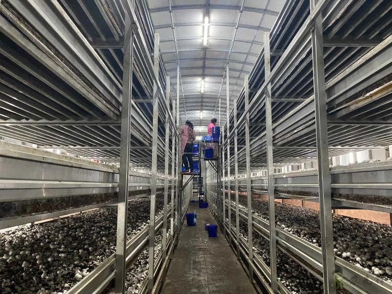 現(xiàn)代農(nóng)業(yè)