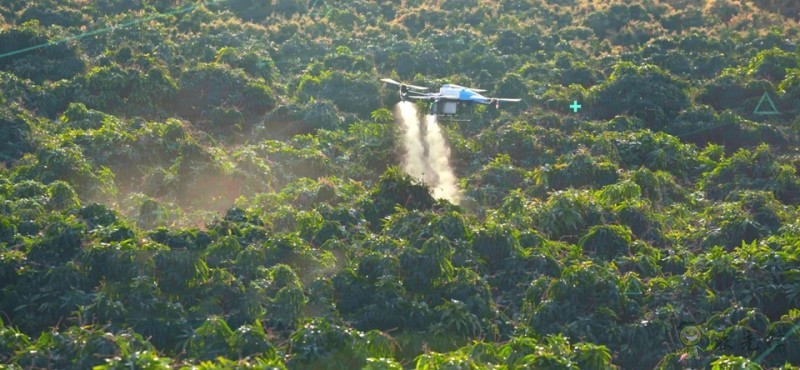 丘陵山區(qū)農(nóng)機(jī)裝備將迎來較大發(fā)展 