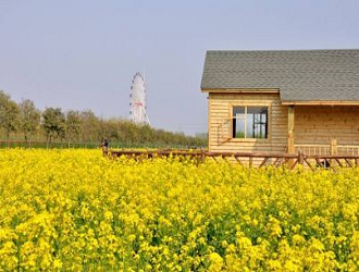 8種最新的農(nóng)業(yè)模式，哪一個(gè)會成為下一個(gè)“農(nóng)業(yè)風(fēng)口”呢?