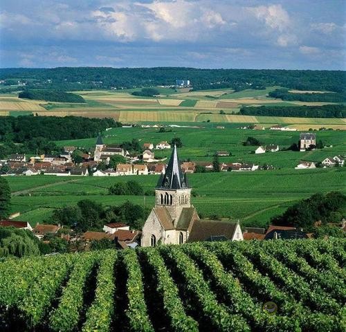 德國農(nóng)業(yè)