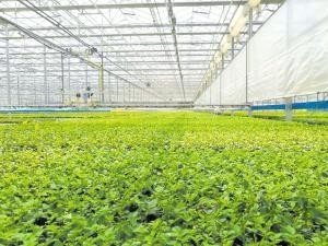 &ldquo;智慧農(nóng)業(yè)&rdquo;開啟昆明農(nóng)業(yè)發(fā)展新時代