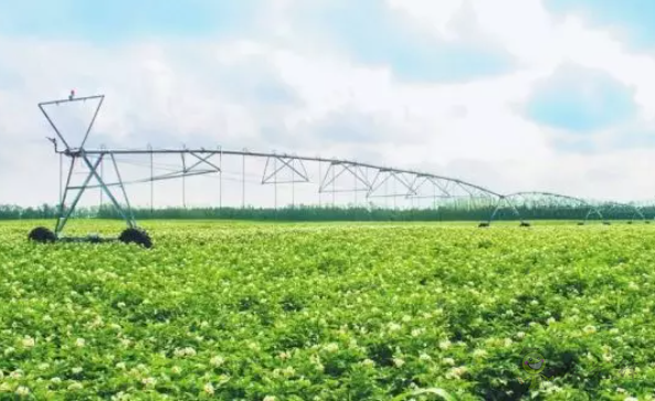 科技部出臺9大措施加強現(xiàn)代農業(yè)科技金融服務