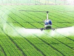 日本農(nóng)業(yè)是如何玩轉(zhuǎn)現(xiàn)代化？3點借鑒，10大玩法