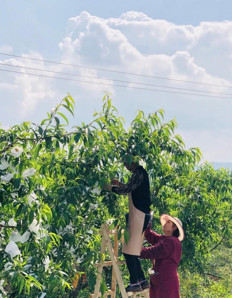 以創(chuàng)建農(nóng)業(yè)國際貿(mào)易高質(zhì)量發(fā)展基地為契機&mdash;&mdash;推動中國農(nóng)業(yè)國際合作邁向新高度