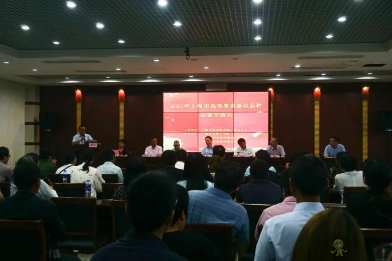 高效果菜新優(yōu)品種品鑒交流會(huì)舉行,一批優(yōu)質(zhì)新品種有望走上市民餐桌