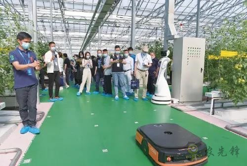 ?鄉(xiāng)村振興,壽光答卷