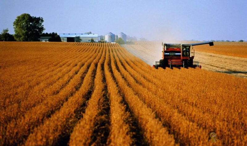 農(nóng)業(yè)農(nóng)村部:共建60個全國農(nóng)業(yè)科技現(xiàn)代化先行縣