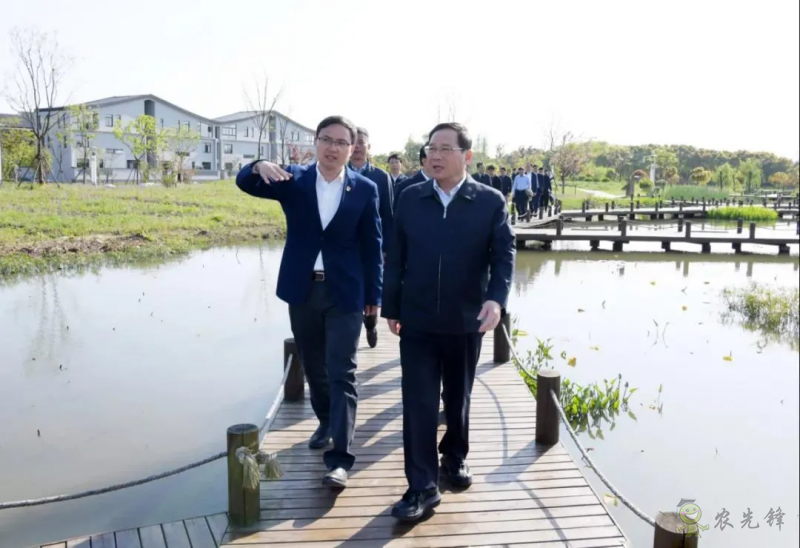 上海市委書(shū)記李強(qiáng)談鄉(xiāng)村振興:三個(gè)價(jià)值、三個(gè)空間、三個(gè)趨勢(shì)