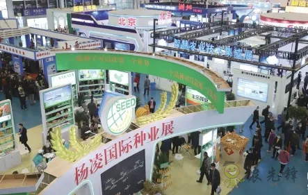 楊凌：強(qiáng)化使命擔(dān)當(dāng)　交好&ldquo;上合答卷&rdquo;