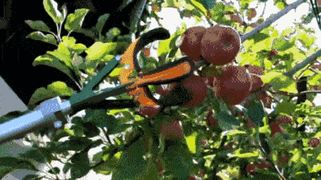 趙春江：無人農(nóng)場(chǎng)技術(shù)是農(nóng)業(yè)發(fā)展必然趨勢(shì)