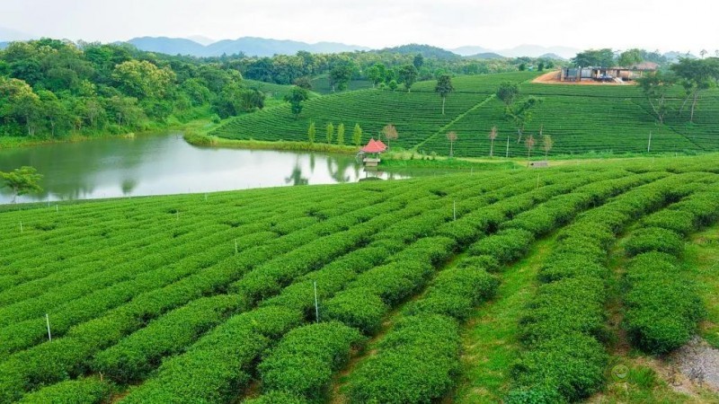 生態(tài)循環(huán)農(nóng)業(yè)&rdquo;的發(fā)展重點