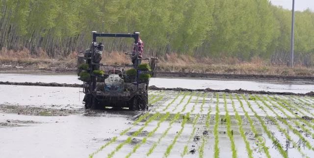 為什么要使用智能農(nóng)機(jī)？