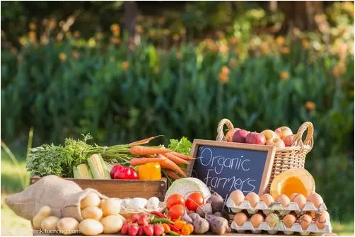 &ldquo;深農(nóng)會(huì)&rdquo;為您講述中國農(nóng)業(yè)發(fā)展史下的生態(tài)農(nóng)業(yè)